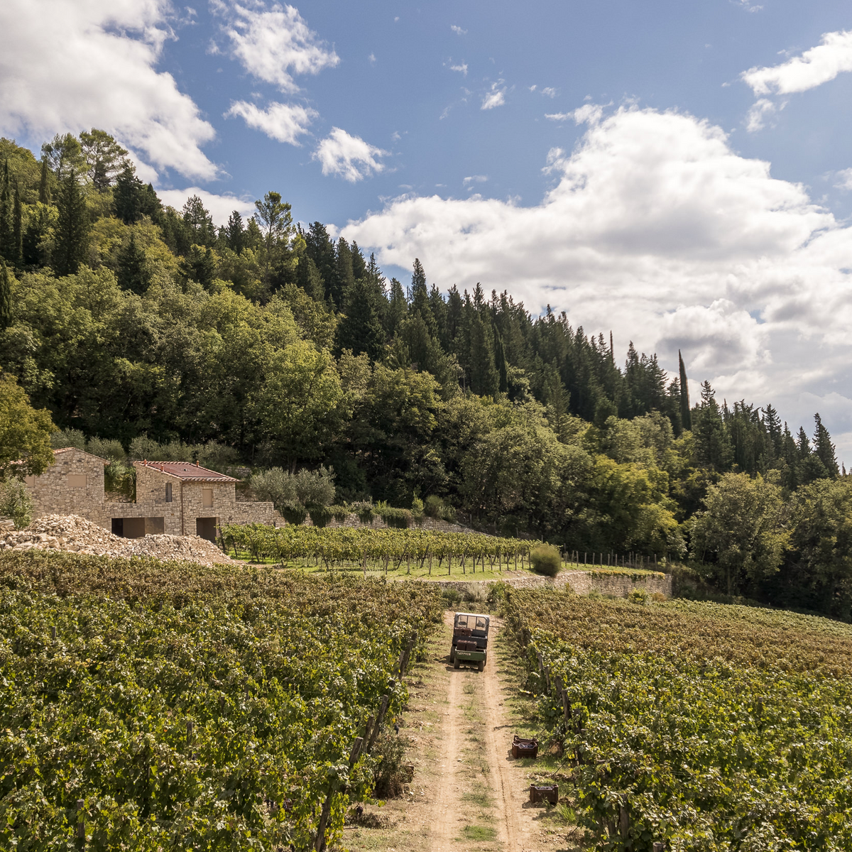 Poggio La Noce — foto 8