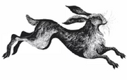 Poggio La Noce logo